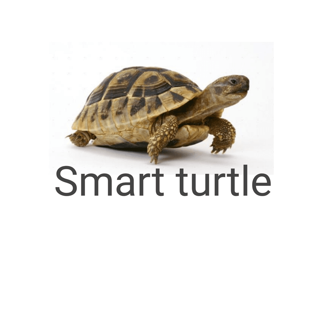 avatar Smart turtle