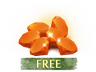 seller-image