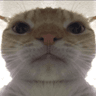 storeAvatar