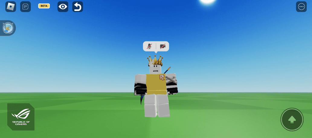 avatar Mr cheese Roblox