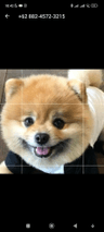 seller-image