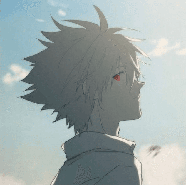 avatar D Wibu Store