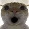storeAvatar