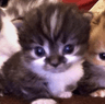seller-image