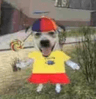 storeAvatar