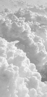 seller-image
