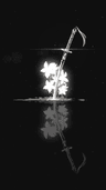 seller-image