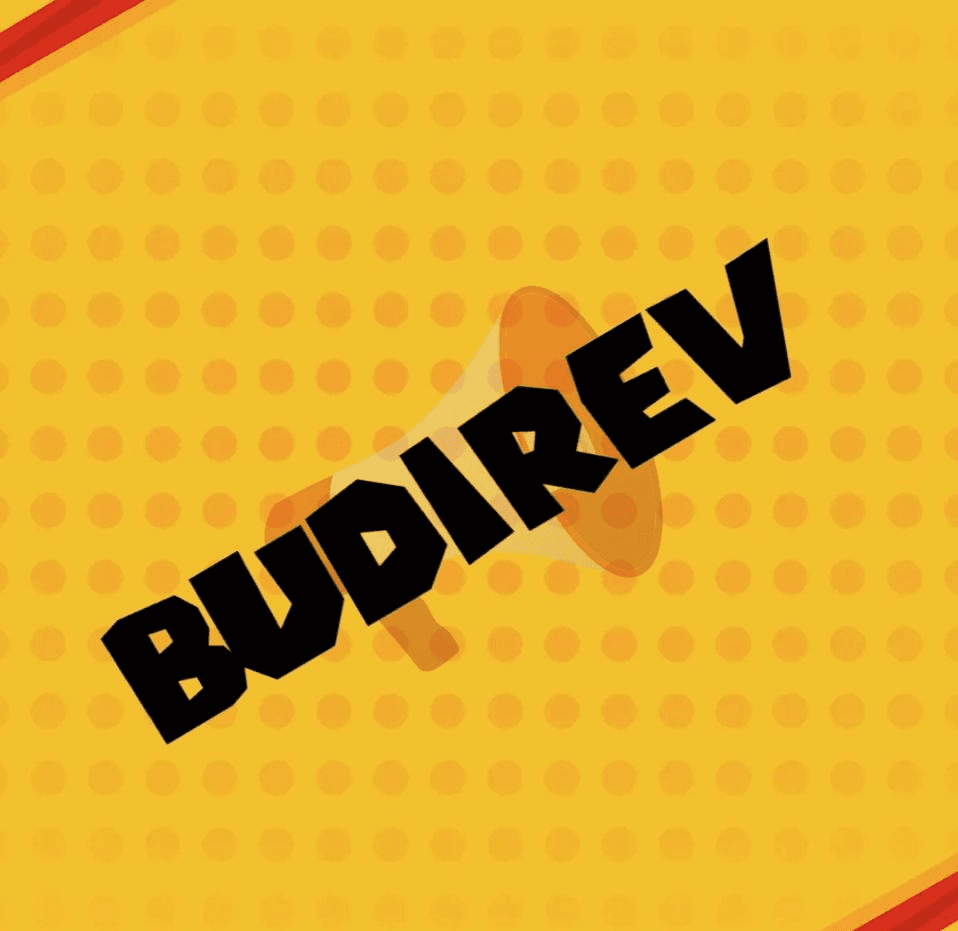 avatar Budirev