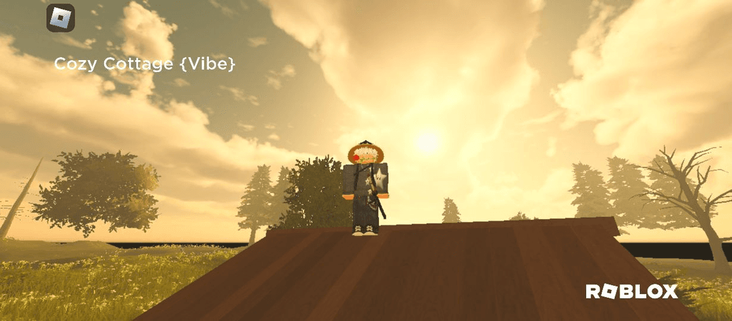 avatar RidxStore