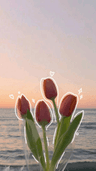 seller-image