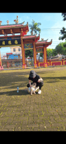 seller-image