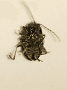 seller-image