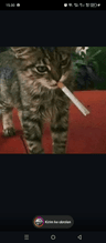 storeAvatar