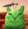 storeAvatar