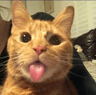 storeAvatar