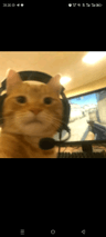 storeAvatar