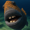 storeAvatar