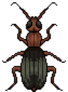 storeAvatar