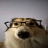 storeAvatar