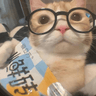 storeAvatar