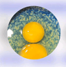 seller-image