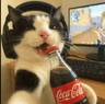 storeAvatar