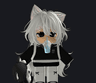 storeAvatar