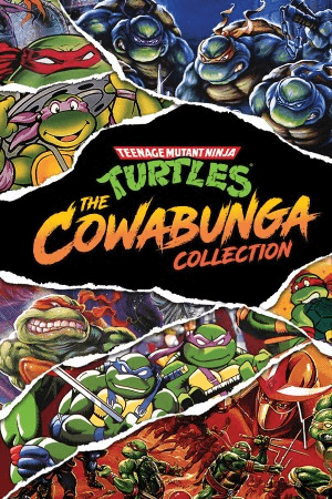 Teenage Mutant Ninja Turtles: The Cowabunga Collection - Key