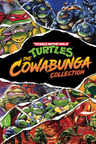 Teenage Mutant Ninja Turtles: The Cowabunga Collection Key