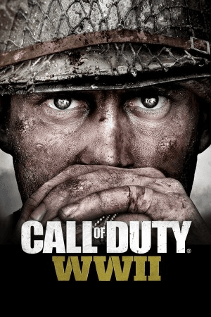 Call of Duty®: WWII - Sharing Account