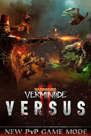 Warhammer: Vermintide 2 - Sharing Account