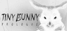 Tiny Bunny: Prologue Key