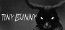 Tiny Bunny Account