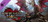 Monster Hunter Rise: Sunbreak