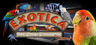 Exotica: Petshop Simulator Key