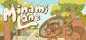 Minami Lane Account