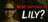 What Happened to Lily?