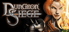 Dungeon Siege Key