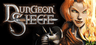 Dungeon Siege Gift