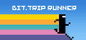 BIT.TRIP RUNNER Key