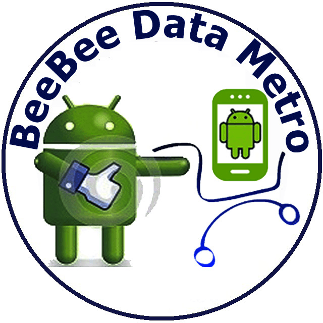 avatar BeeBee Data Metro