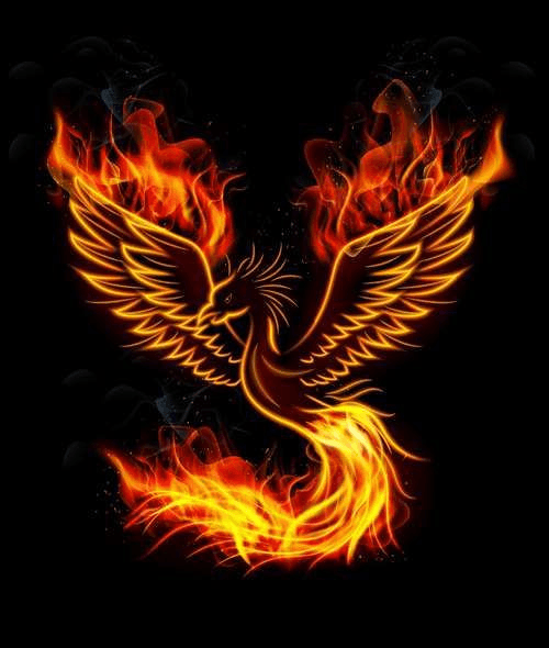 avatar PhoenixShop