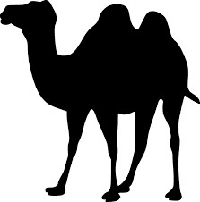 avatar Kafilah Store