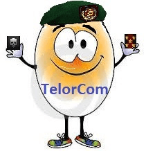 avatar TelorCom