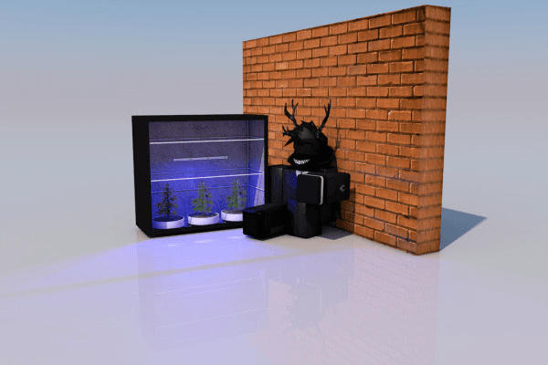 avatar ZemStore