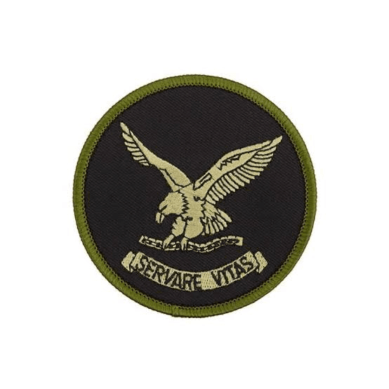 avatar Online Skins shop