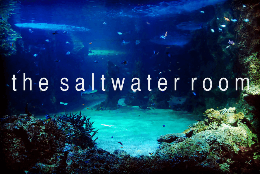 avatar Saltwater Room