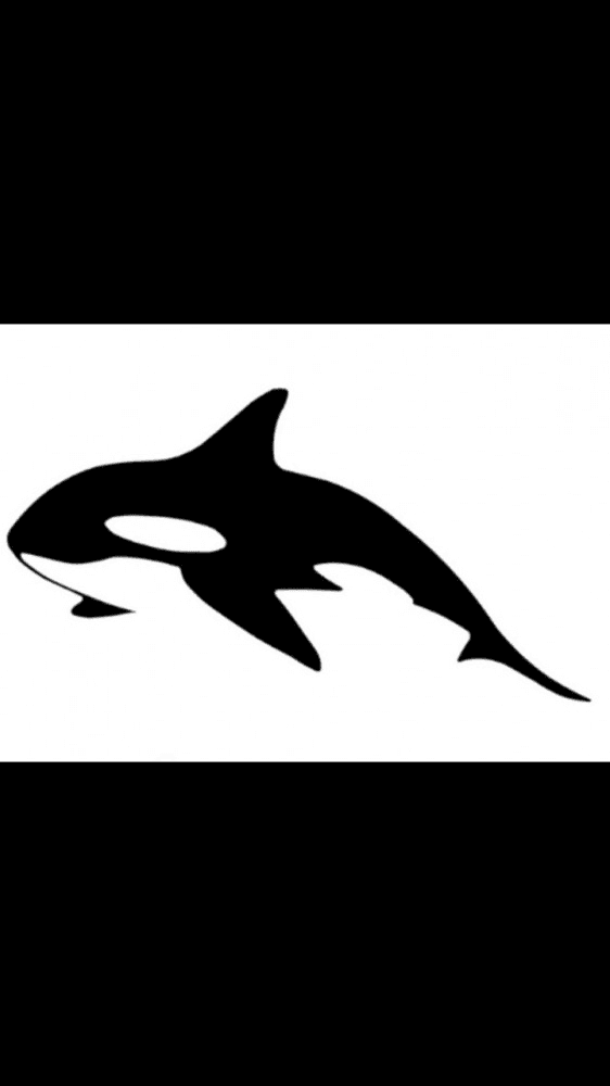 avatar ORCAstore