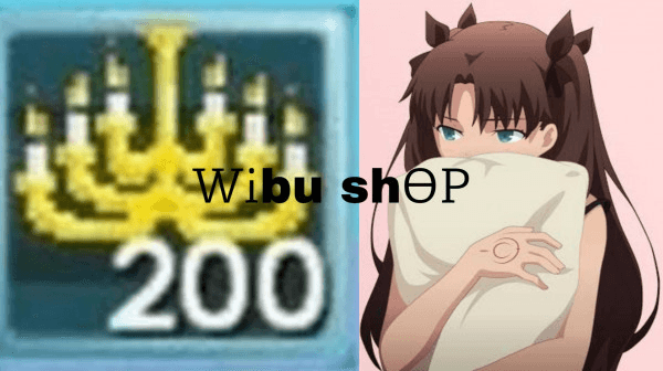 Product Showcase