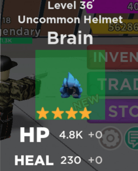 Product Showcase